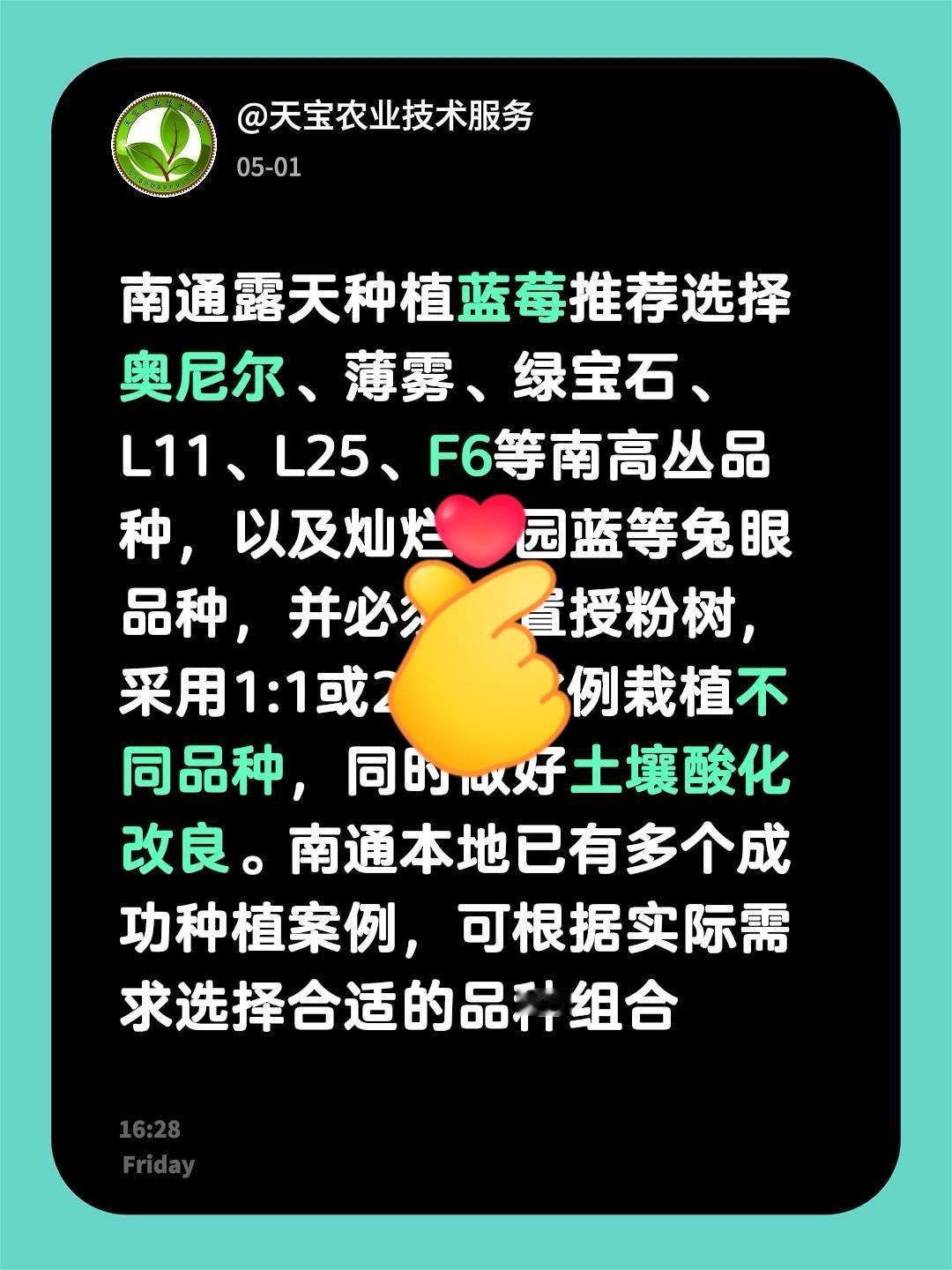 南通露天适合种植啥蓝莓品种？我回复了@白 的评论：
南通露天种植蓝莓推荐选择奥尼