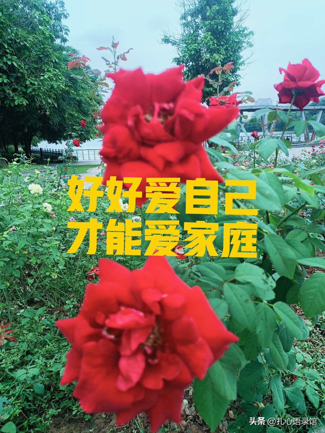 我认为爱你老己。人活一世，不必在“爱自己”和“顾家尽责”中对立取舍，真正的生活智