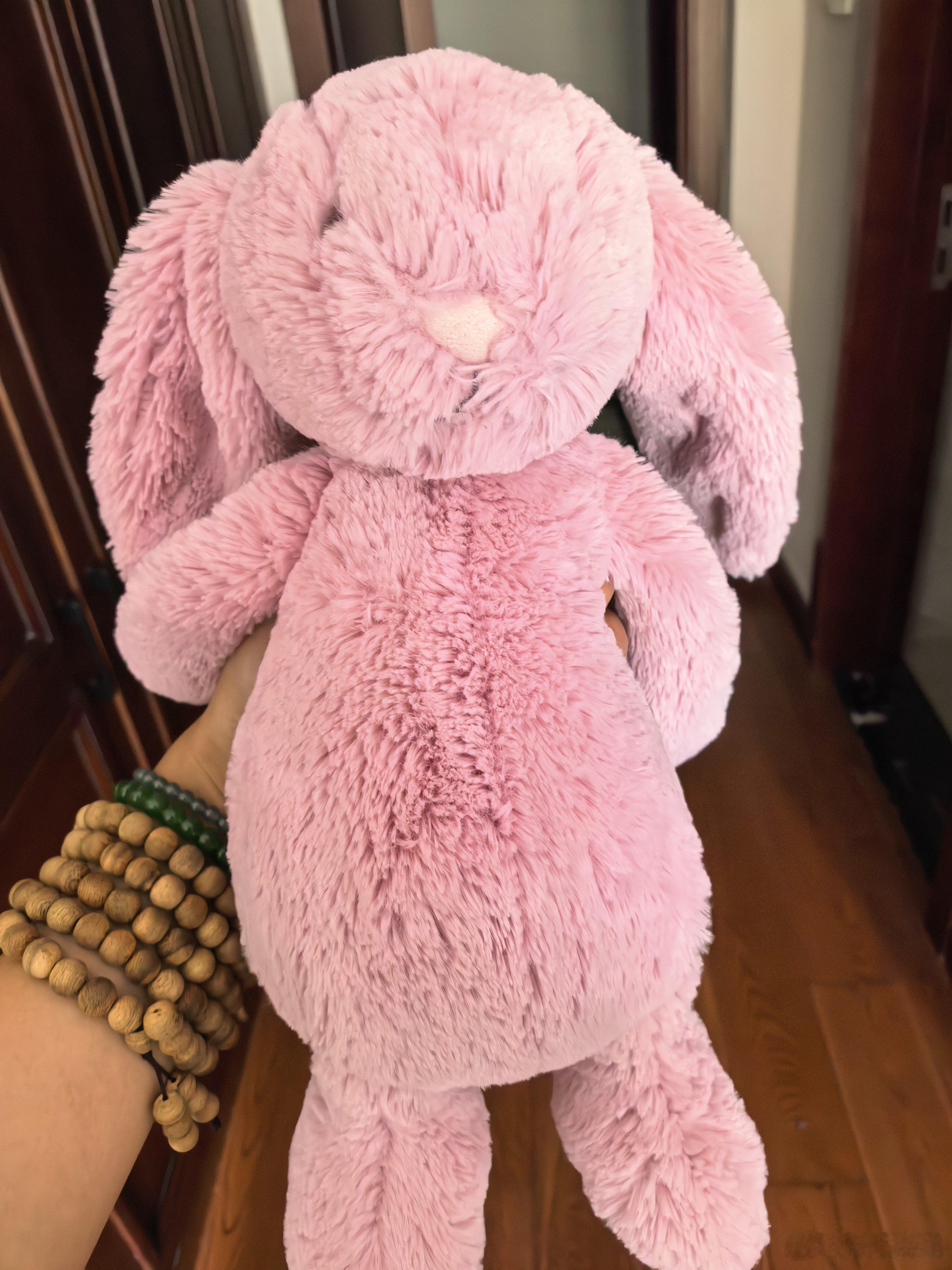 我的女儿也有一只这样的小兔子………现场这只小兔子的小主人可能不在了[柯基][柯基