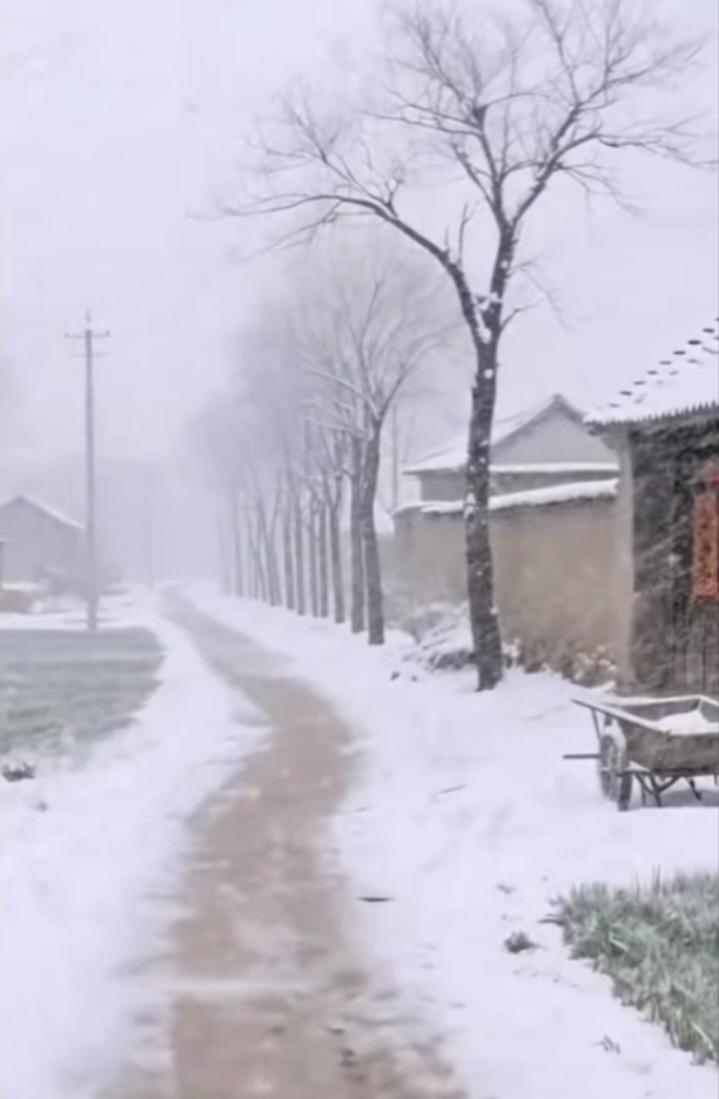 乡雪


皑皑无际野茫茫，
忽到琼妃青麦藏。
林落白尘登喜鹊，
雪遮灰路露银庄。