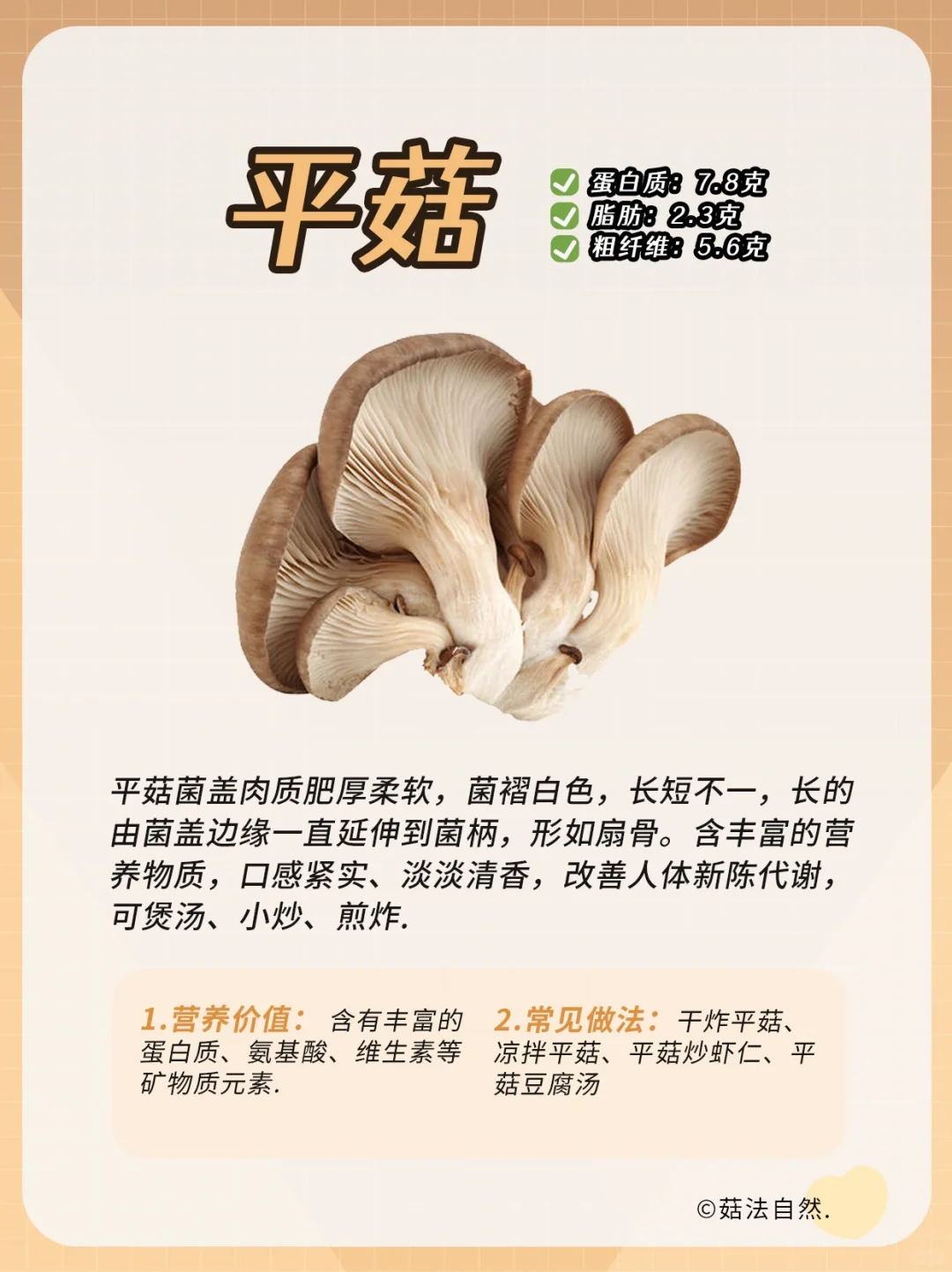 🔥每日菌菇科普——平菇❗️