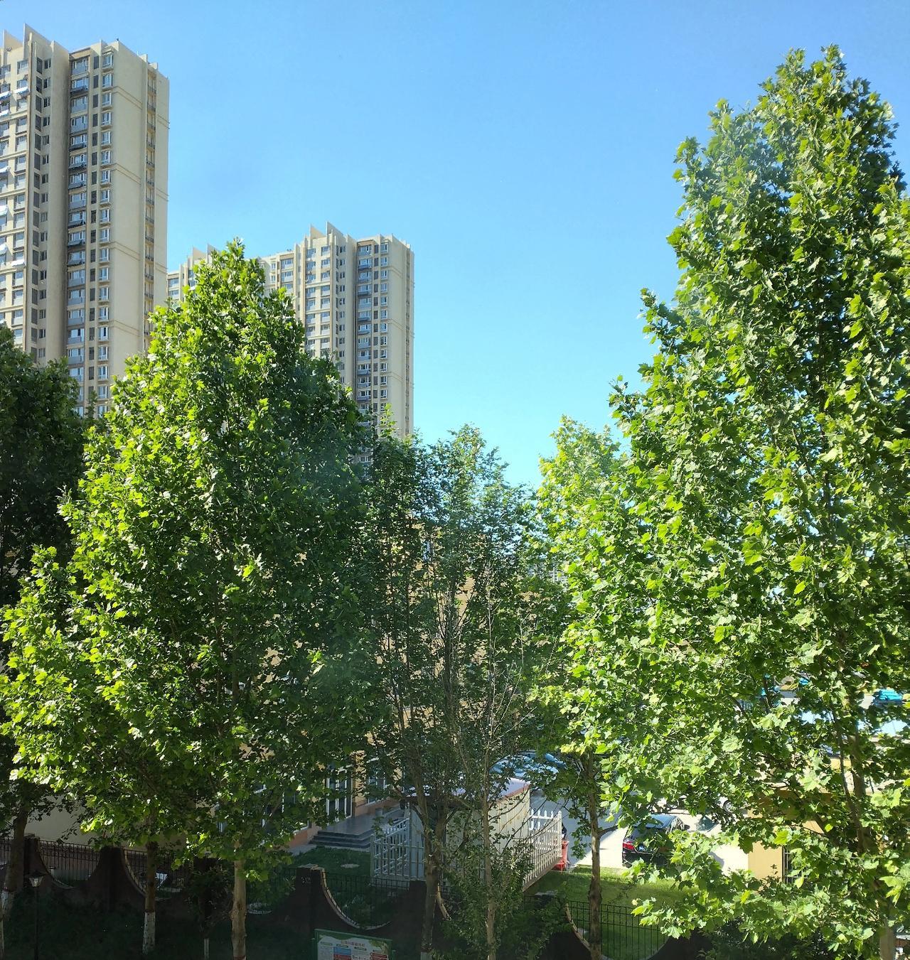 陪老妈吃米村拌饭，小店暖心细节，越品越觉得舒服
 
今天抽空陪着老妈，来家附近的