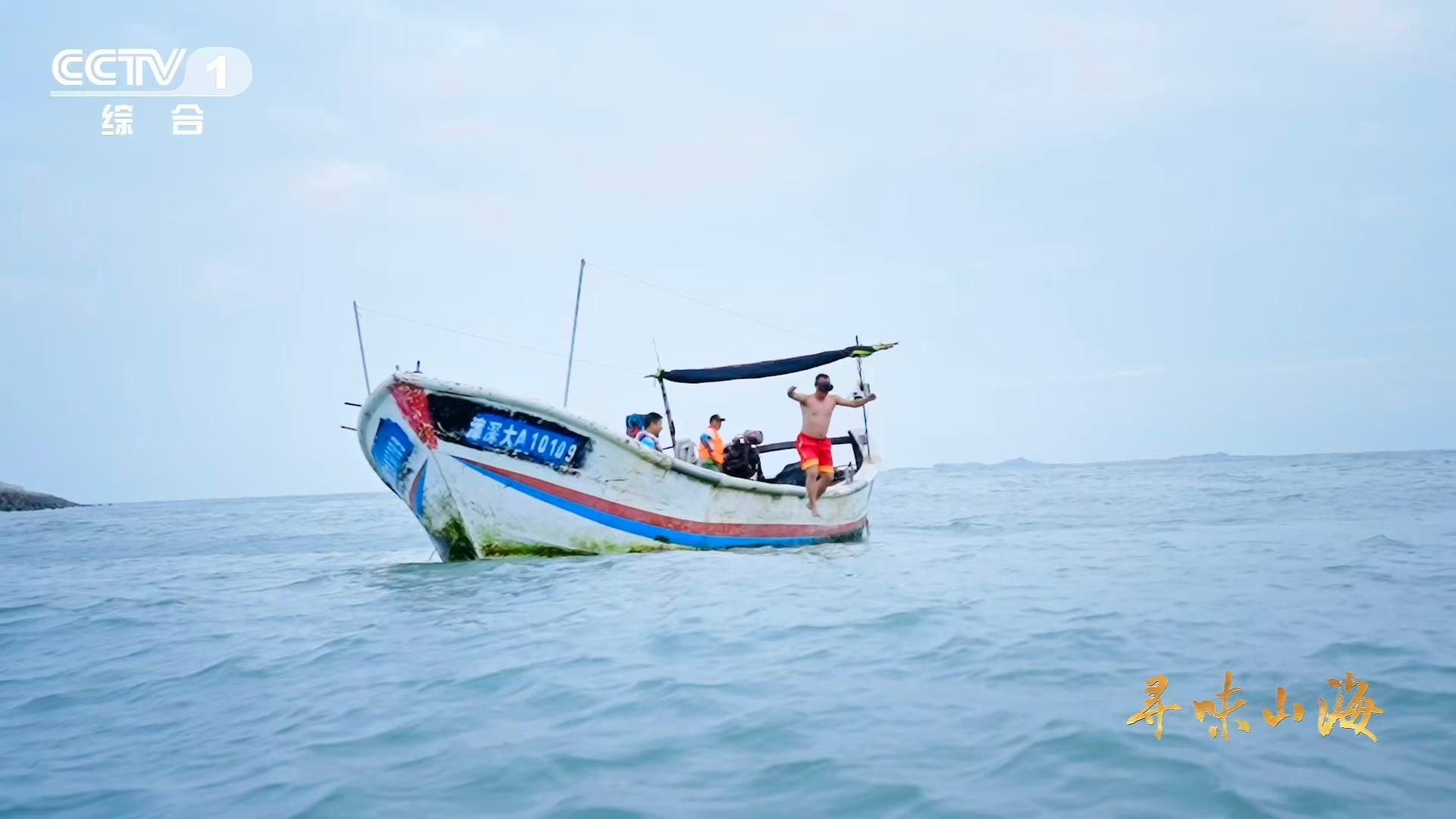 河豚牙口强得可怕福建人养出了无毒级河豚看似呆萌实则暗藏实力！河豚的咬合力足以破解