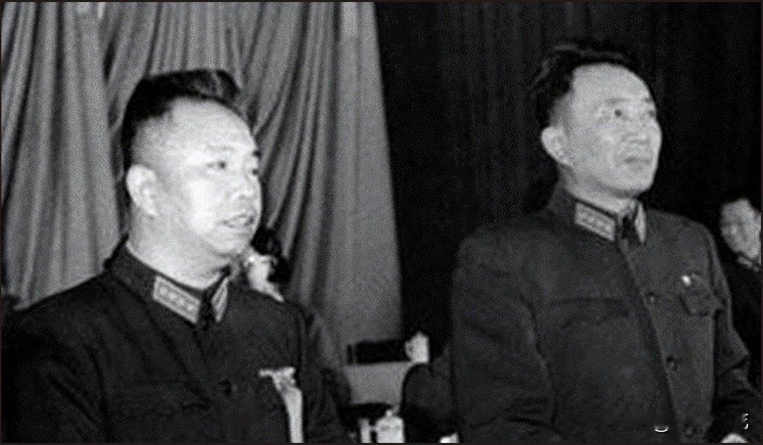 1951年，开国大将王树声申请挖出一架埋了21年的飞机，中央秒批，挖出后老兵却集