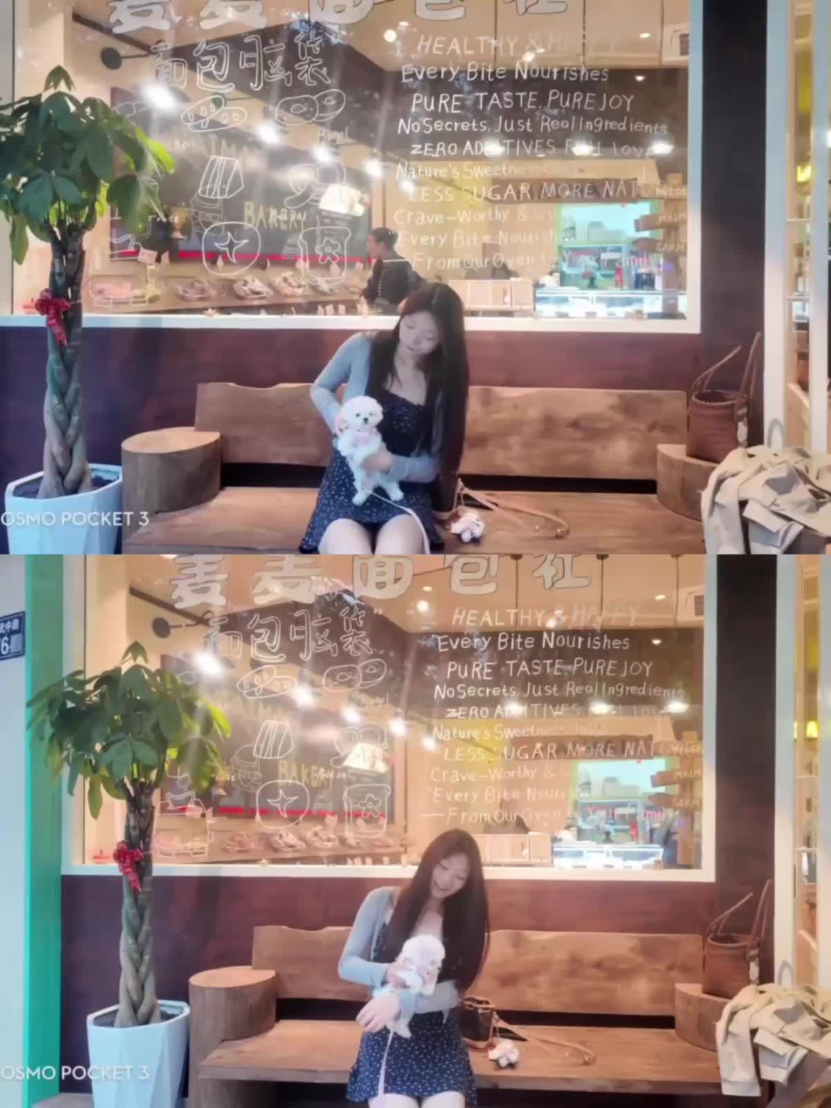 沾我们家漂亮小满的光 面包店老板送了一个kiity提拉米苏！