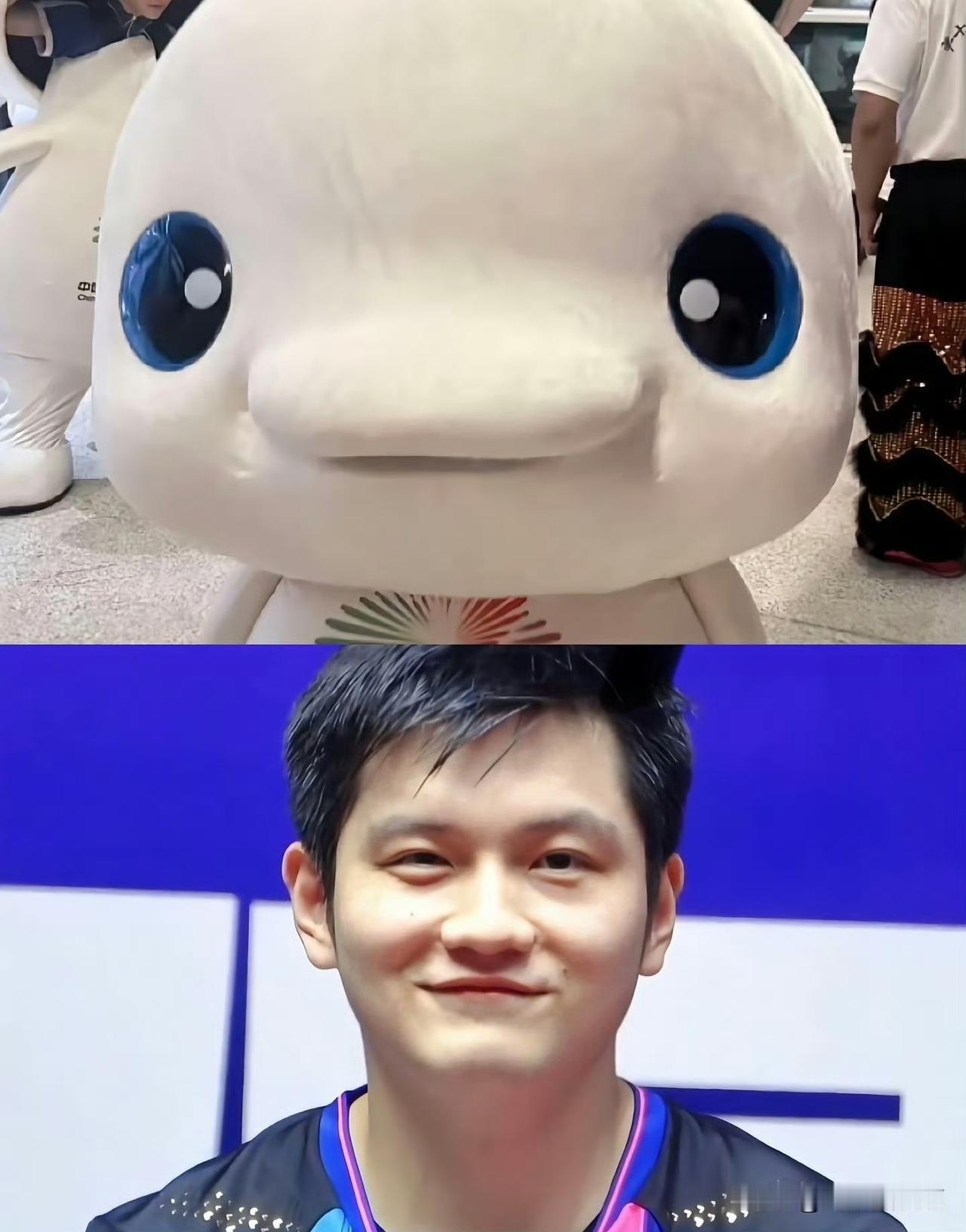 不愧是樊振东，
一张脸打败了99.99%的人！
别人抢着和全运会吉祥物合影，他呢