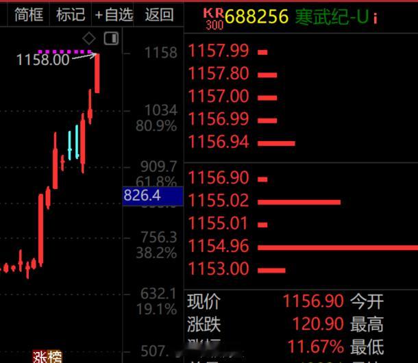寒武纪就是一个未知，真不知道它能涨到哪里寒武纪a股 ​​​