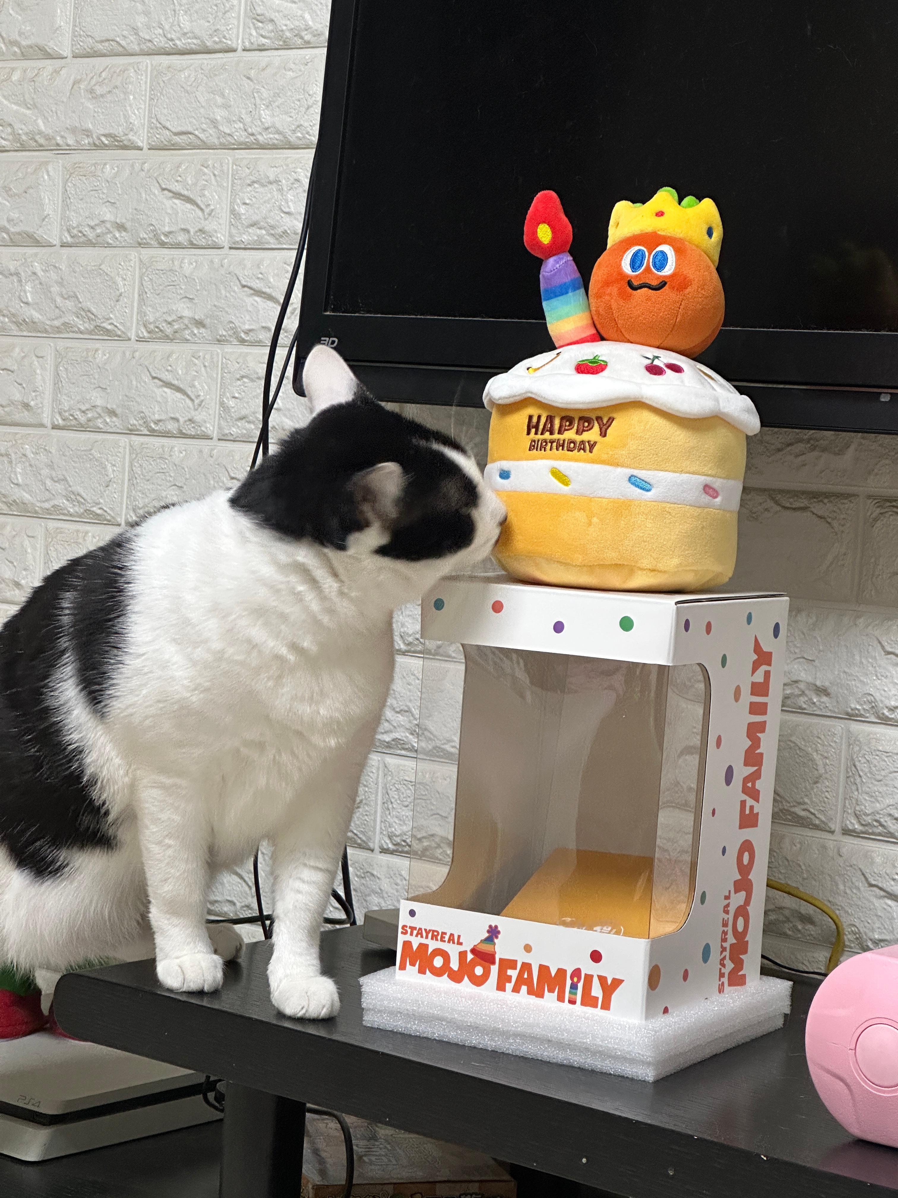 在三十出头的年纪还能背着书包穿梭在校园图书馆也未尝不是一种幸福（除了赚不到钱哈哈