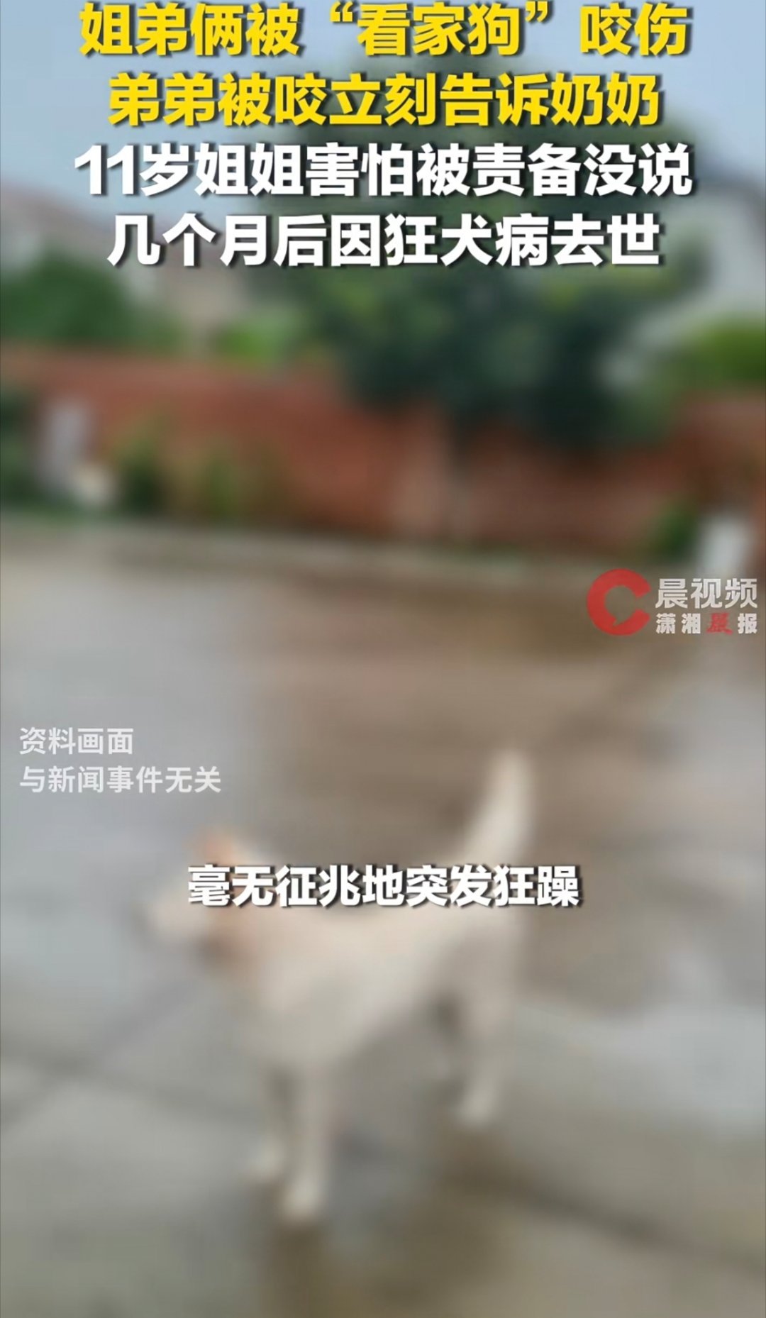 女孩怕责备隐瞒被狗咬后狂犬病去世被携带狂犬病毒的狗咬伤或者抓伤是可能会得狂犬病的
