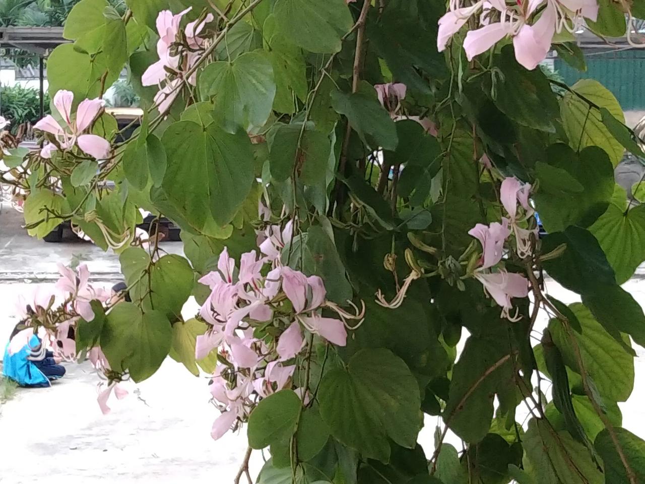 改变一下打扫卫生的时间。
我很多年养成了周日下午大扫除的习惯。
最近不知道为什么
