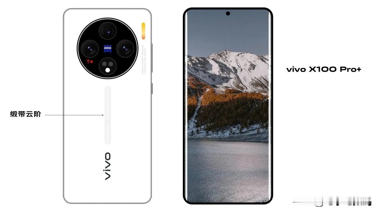 蓝厂灭霸机型X100 Pro+的这个配置，会让友商有点难受吧...
屏幕顶级：直