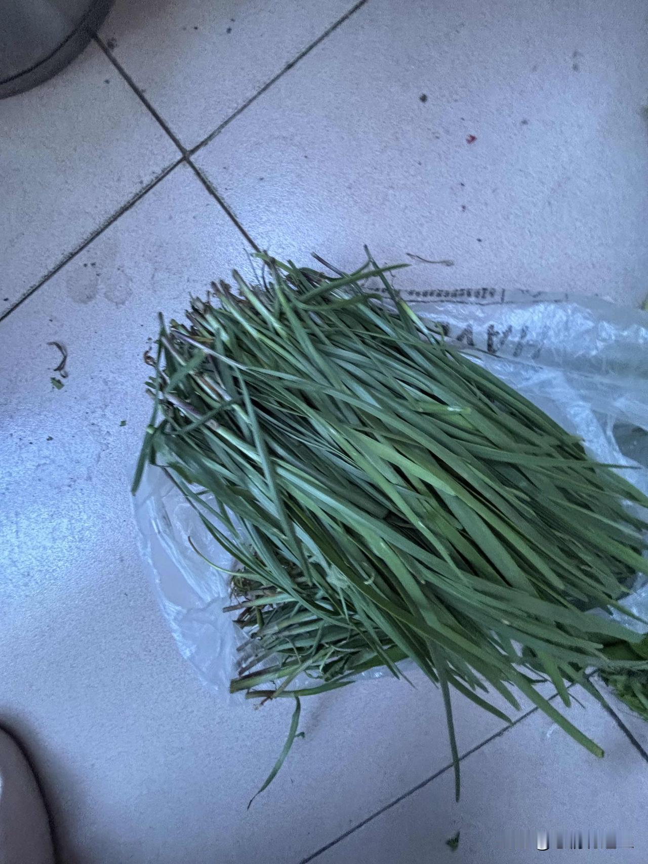 早上去菜市场，看见主干道侧面的小道边，有一不起眼的地摊儿。一老大爷铺了块粗布，上
