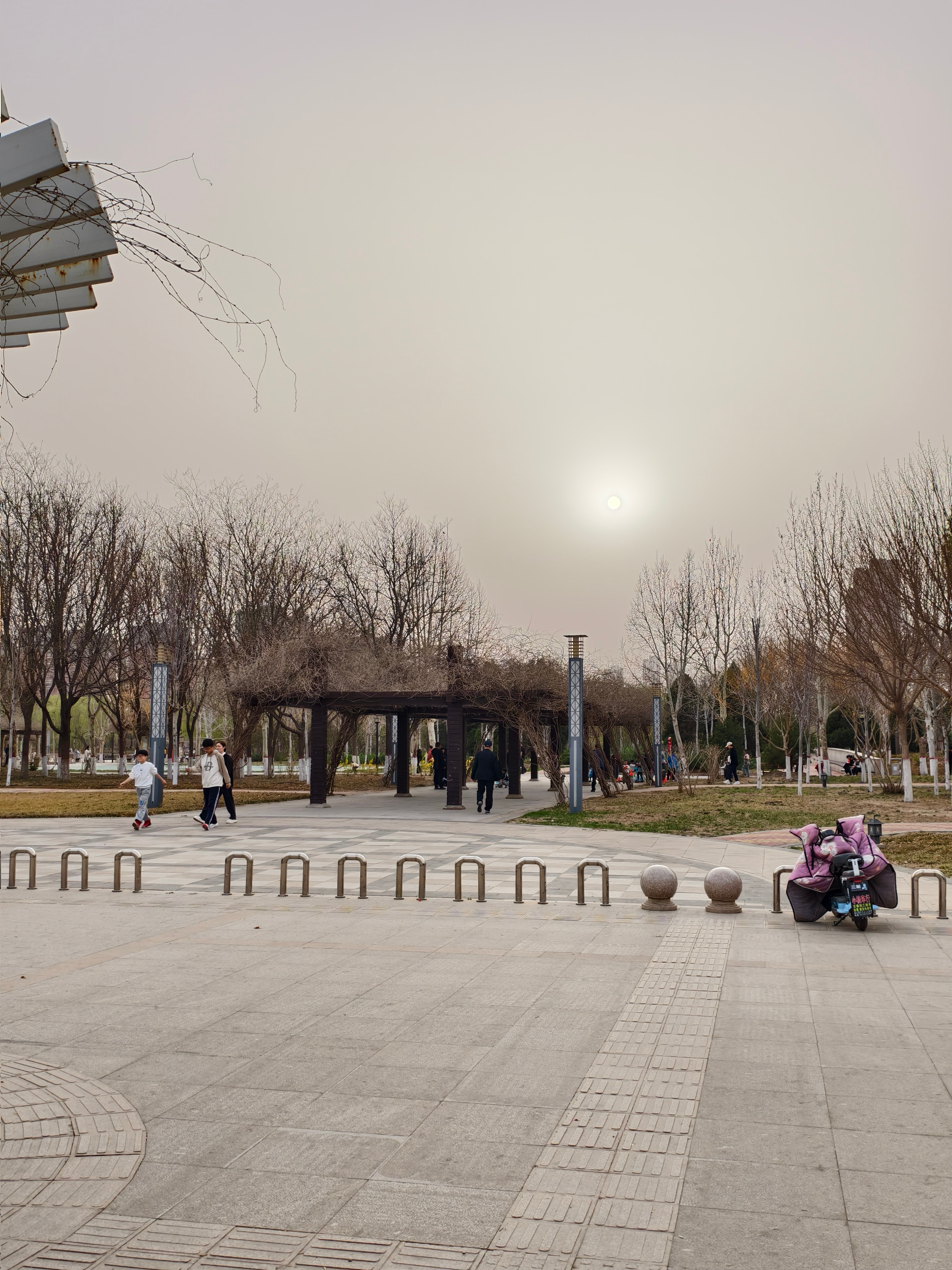 今天的天气实在是不太好，大风扬尘 ​​​