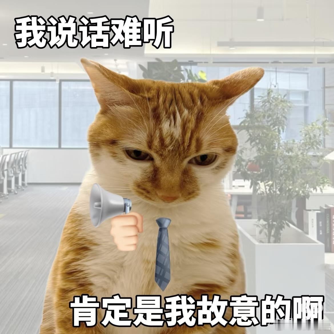 我说话难听  肯定是我故意的啊 ​​​