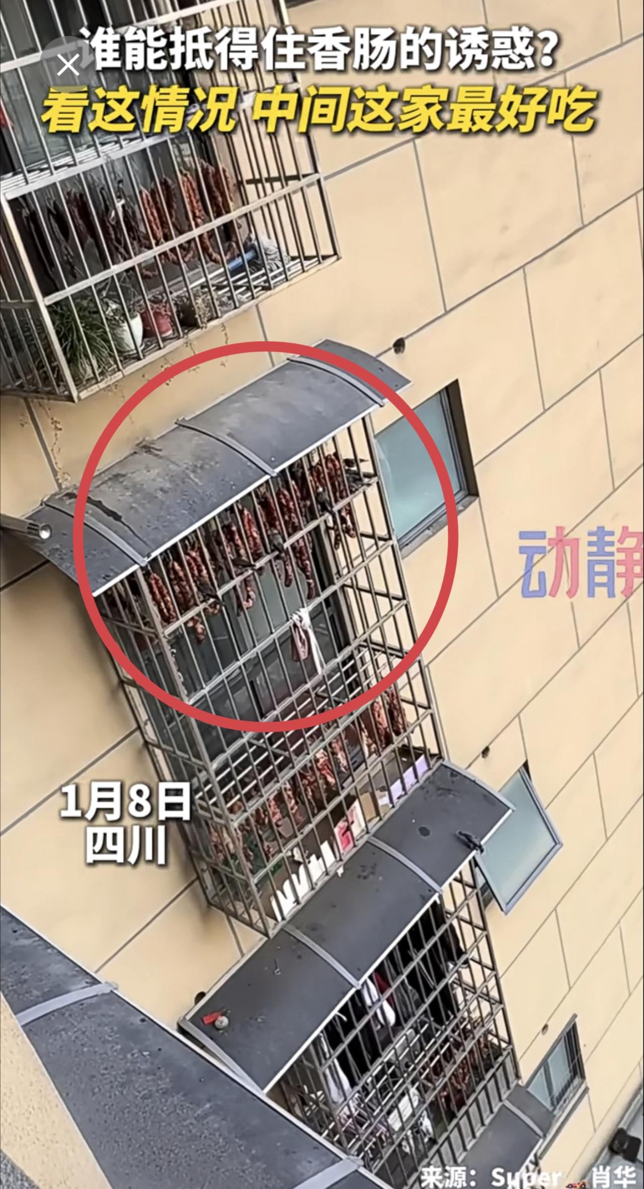 网友：建议开店，这个视频就是最好的广告（制作：维薇）