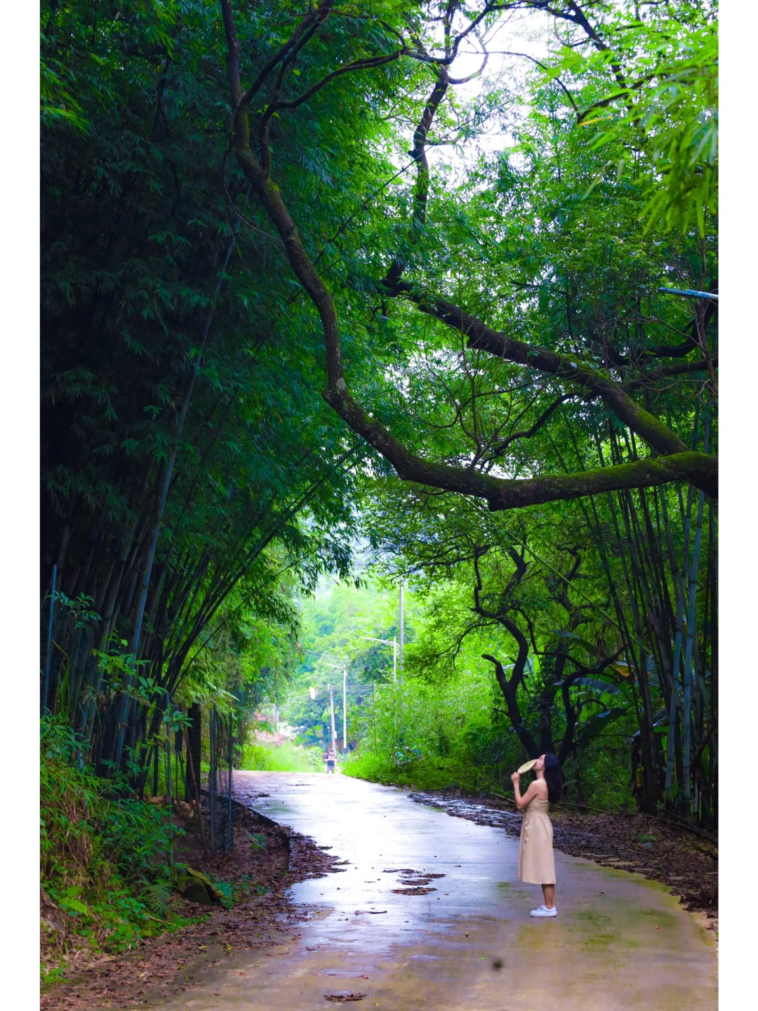 广州周边｜躲进隐世村庄度假🏡溯溪避暑💦