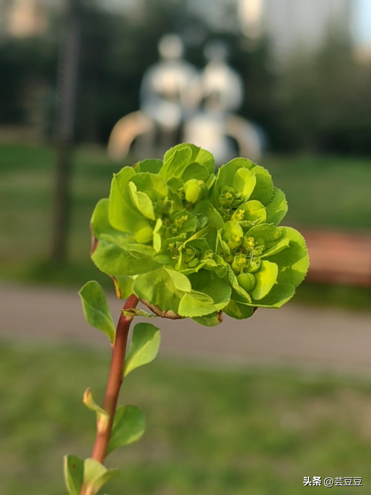 一个中年女性需要保持什么样子? 
1.  有存款——手机有电，卡里有钱，这就是成