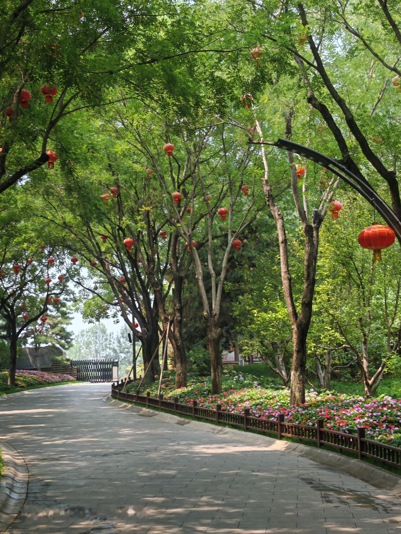 花开满园，春色如画。北京通州大运河森林公园里风景独好