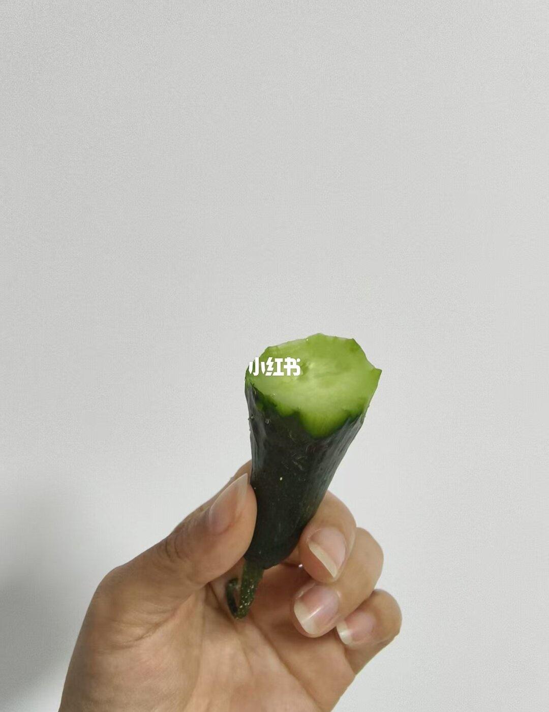 毛不易你要不要这个黄瓜屁股拿去喂元宝
疑似上班上疯了，吃到最后想起来艺人了，我说