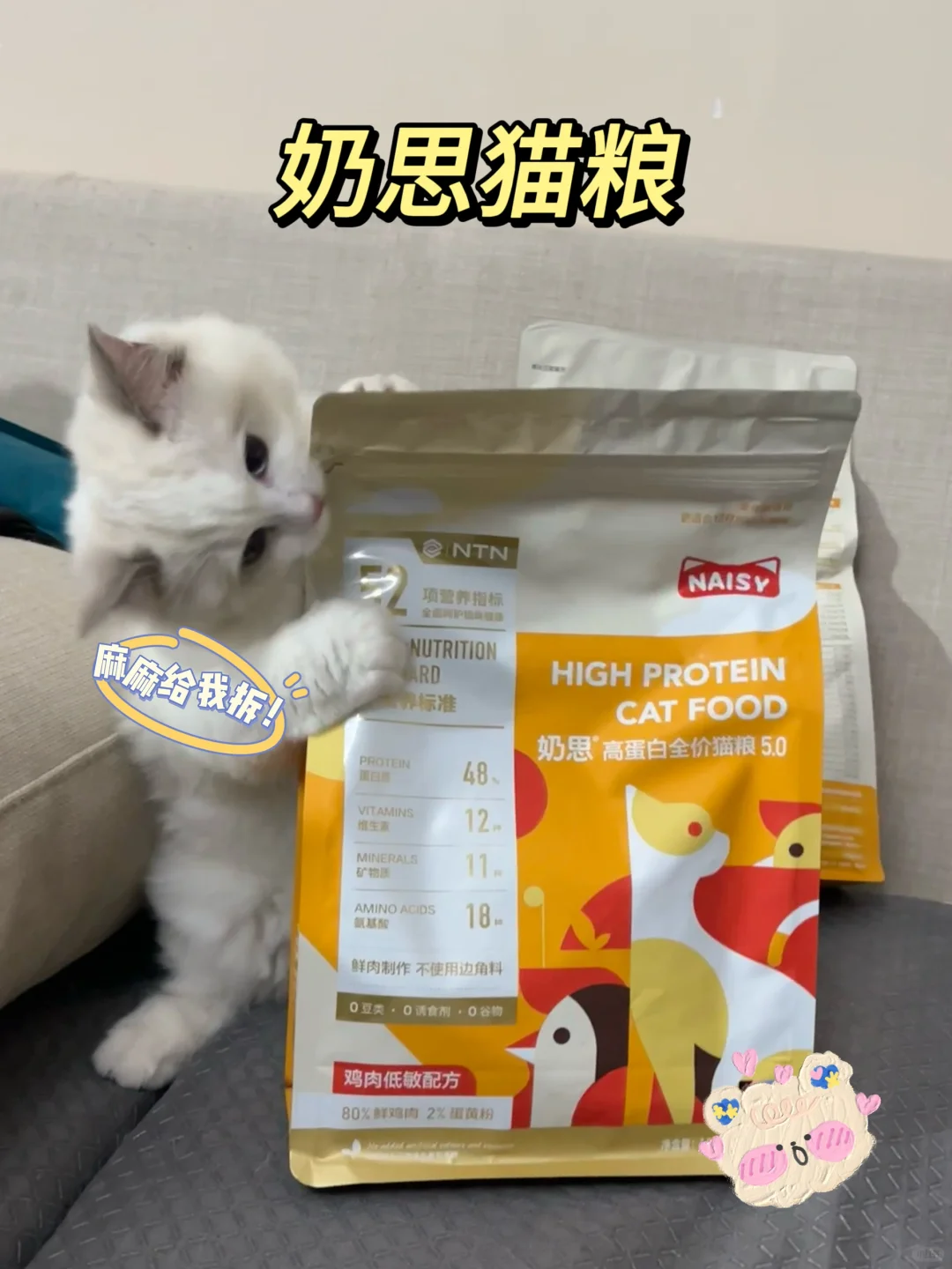 💖奶思猫粮5.0，多猫家庭的挚爱之选🐱