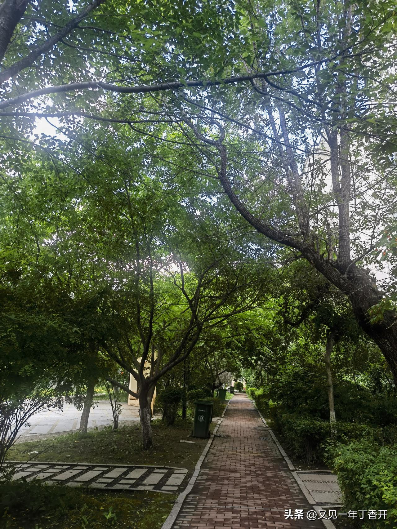 真正的经济学大拿并不好找

那些活跃在网上的的什么经济专家，很多人都愿意引用他们