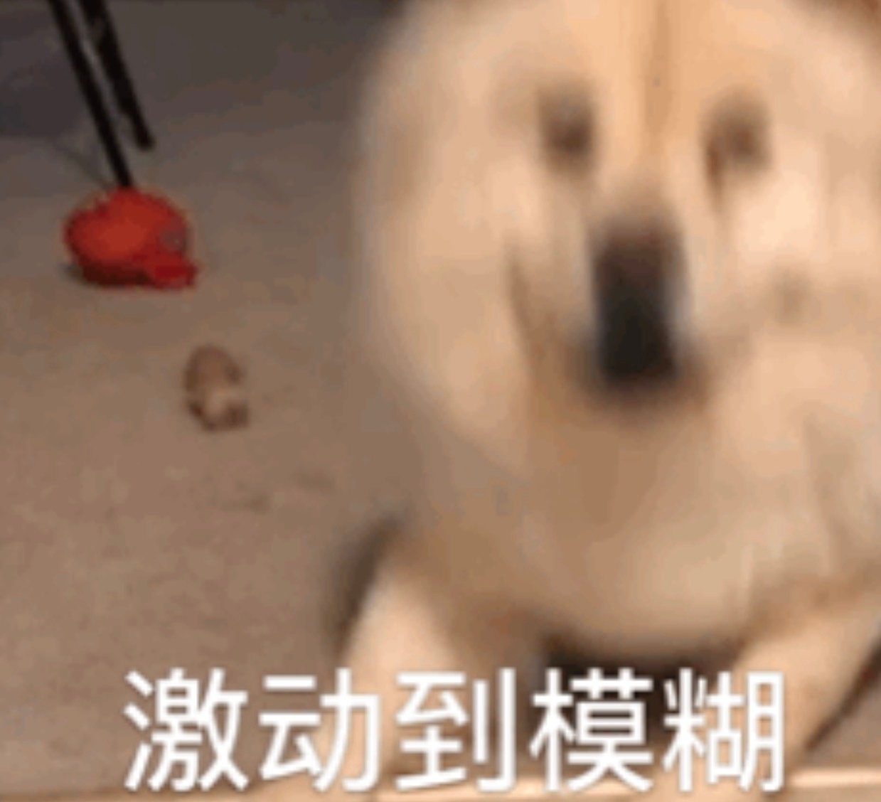 要激动坏了，该怎么缓解