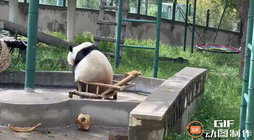 这反应跟个人没啥两样，就差手里端个茶壶了