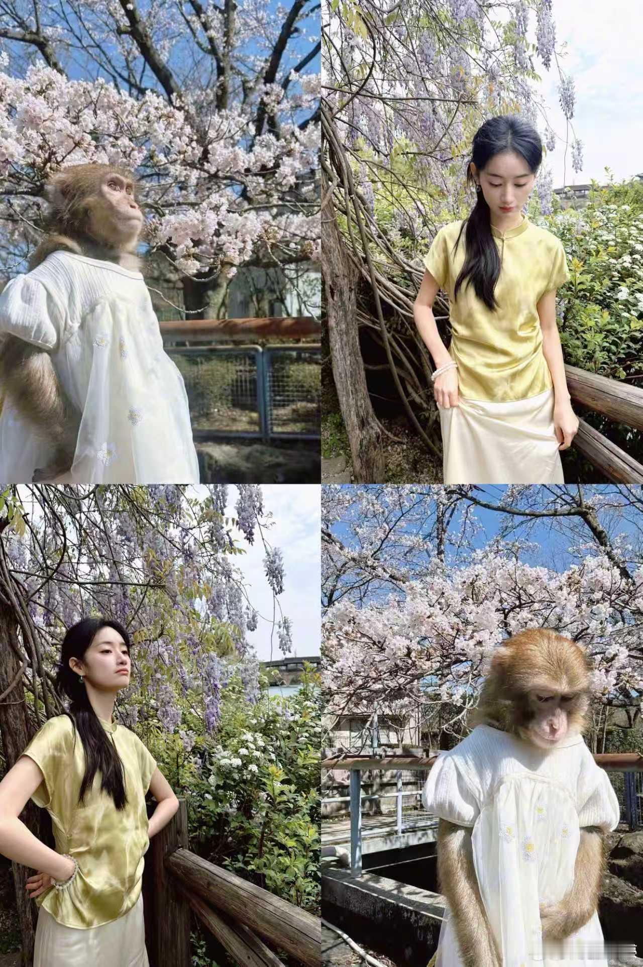 郭晓婷美好一天交换好运郭晓婷模仿小猴子拍照 郭晓婷美好一天 交换好运  模仿小猴