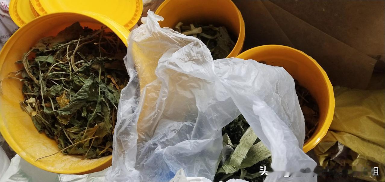 这个季节就是“青黄不接的时候”，
冬天储存的大白菜和萝卜基本上吃完了，
虽然超市