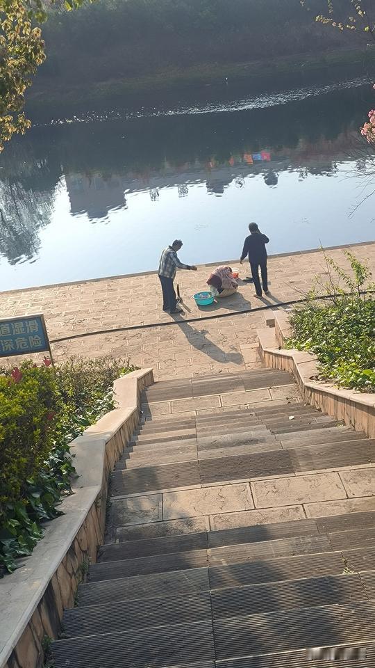 早上送完孩子，去南盘江边晨练时看到的一幕。
两个老人，推着人力三轮车，带着毛毯、