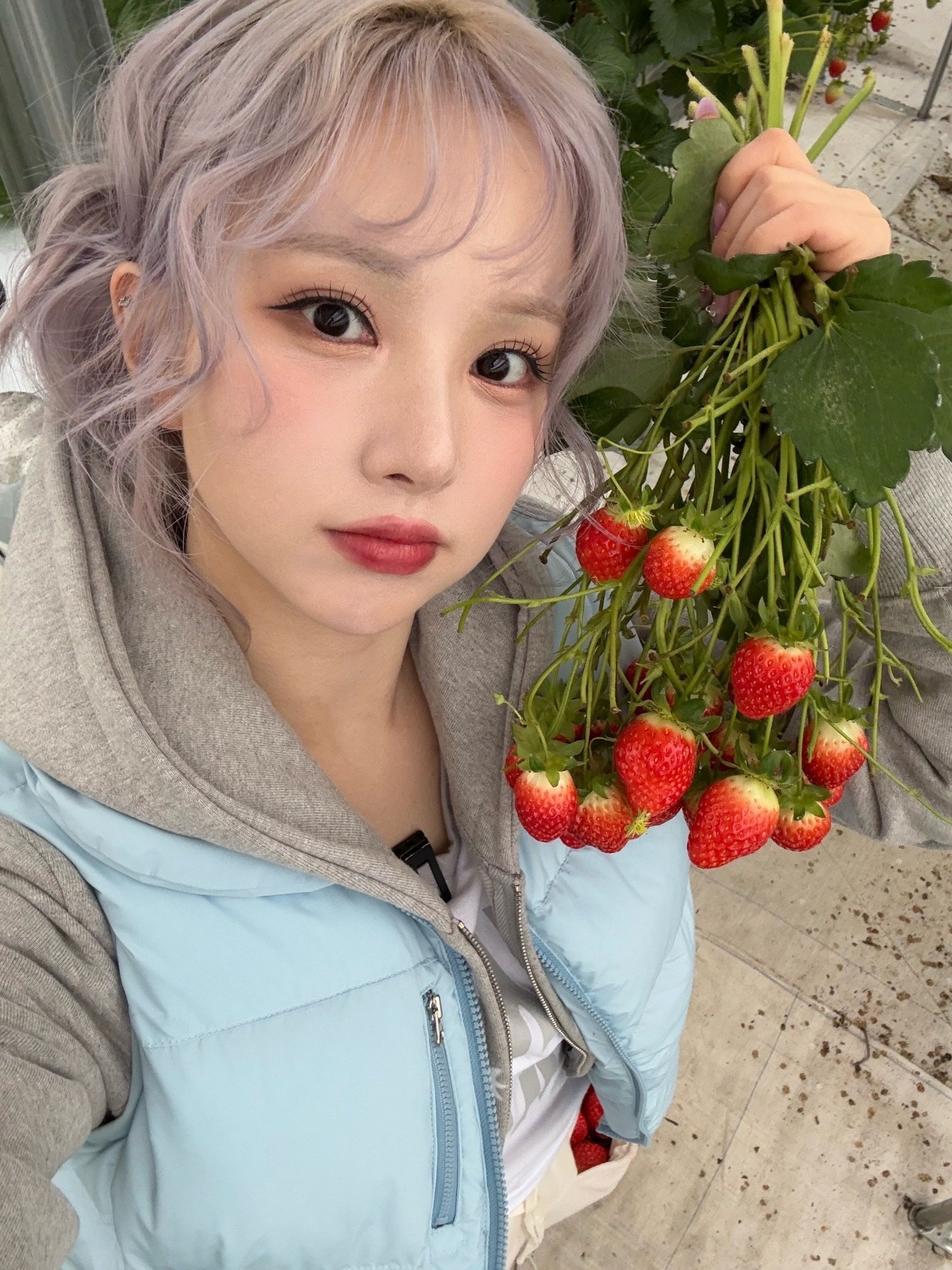 泡泡更新VIVIZ[超话]丁恩妃 🍓😋❣️ ​​​
