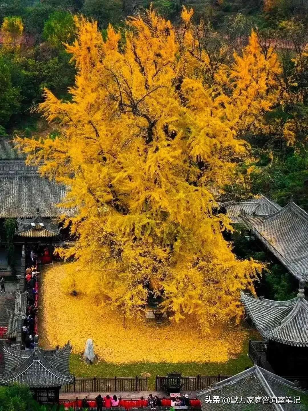 有一种陷阱叫成长陷阱，是指只有围绕自身成长的内向成长，而忽略了围绕现实问题的外向