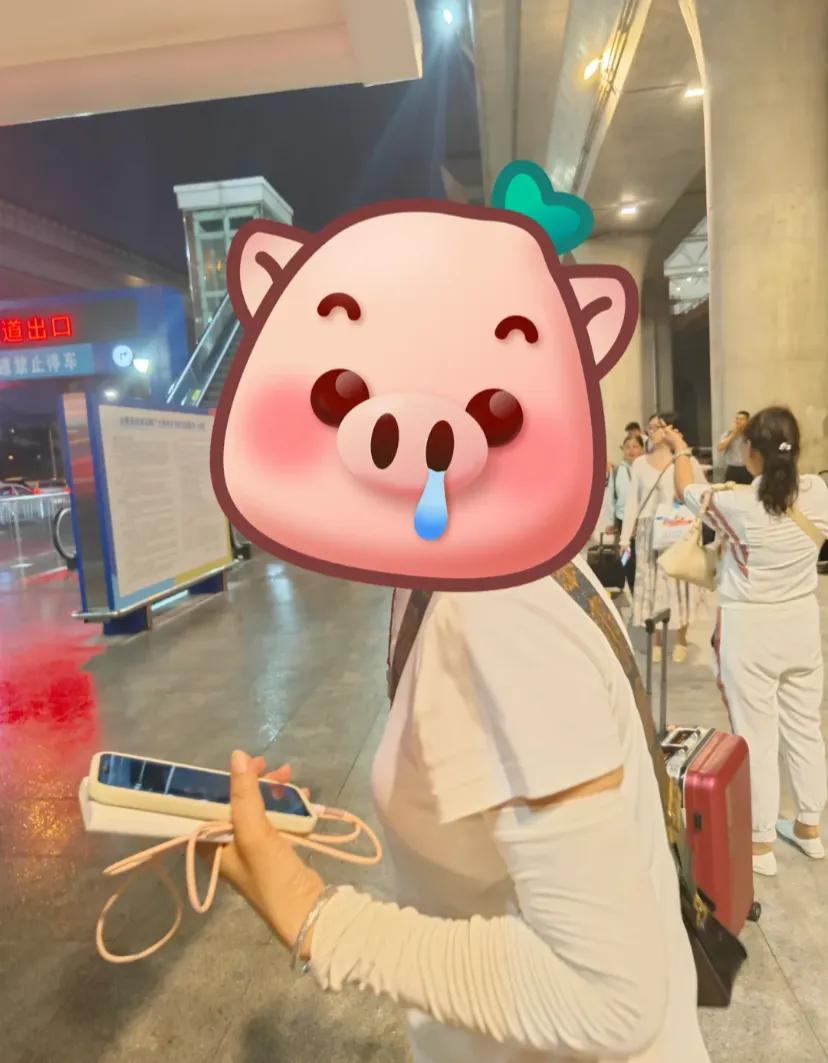 新骗局!合肥南站!大家注意
出站等网约车，这个女人看着我推了孩子，告诉我别等了，