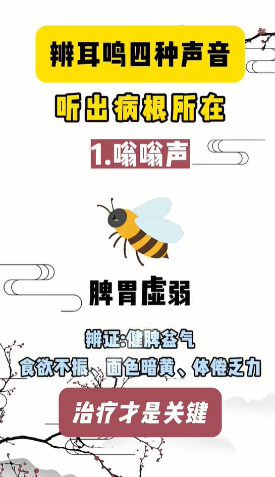 嗡嗡蝉鸣呼噜呼呼，听耳鸣声音辨脏腑失衡