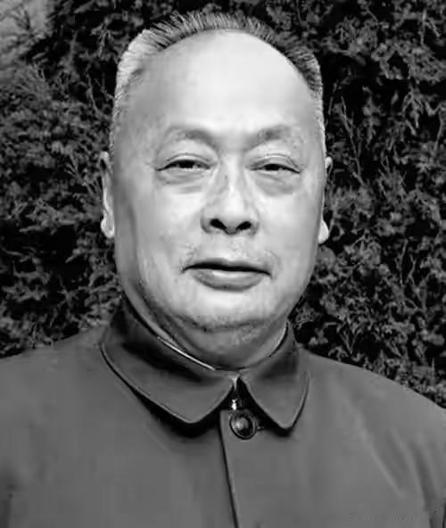 陈毅回家乡乐至，发现表弟被人强行控制，大怒：究竟是谁在胡闹！
 
1959年11