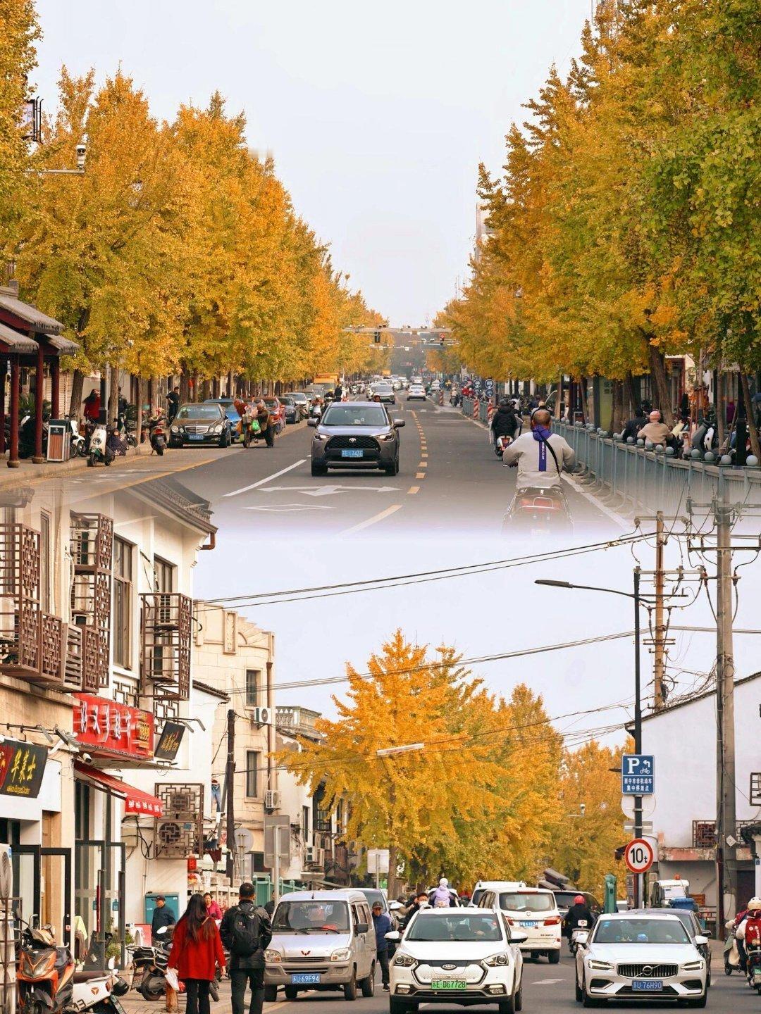 一路前行  |  网红打卡圣地    又是一年的秋冬季节，天气温暖，可以来苏州逛