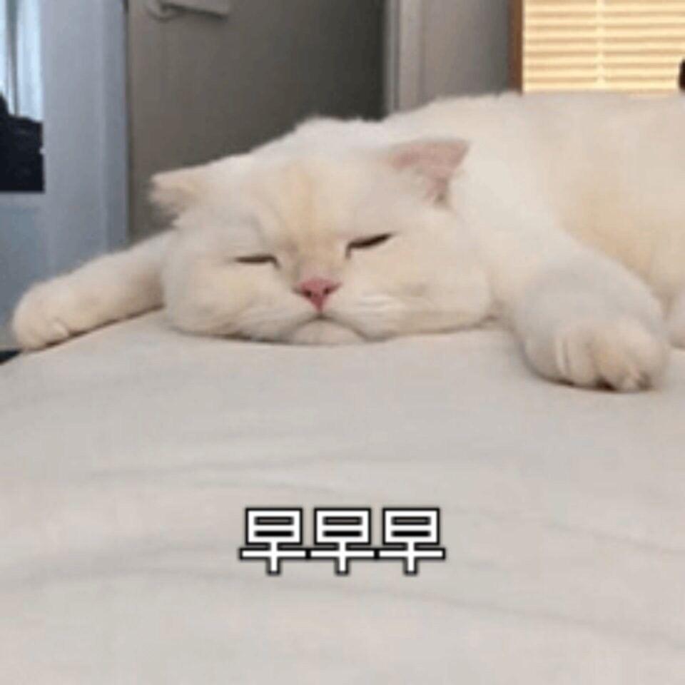 早～醒了但是要赖床