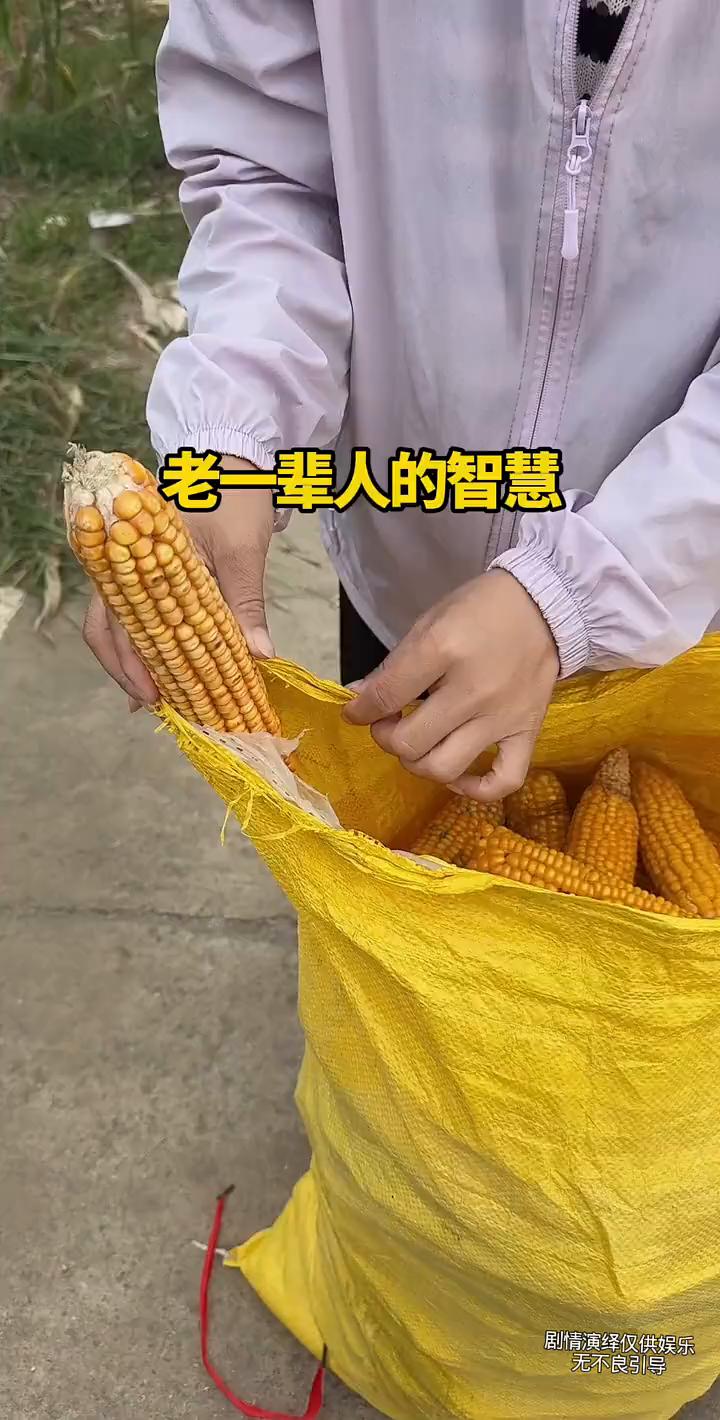 哈哈。