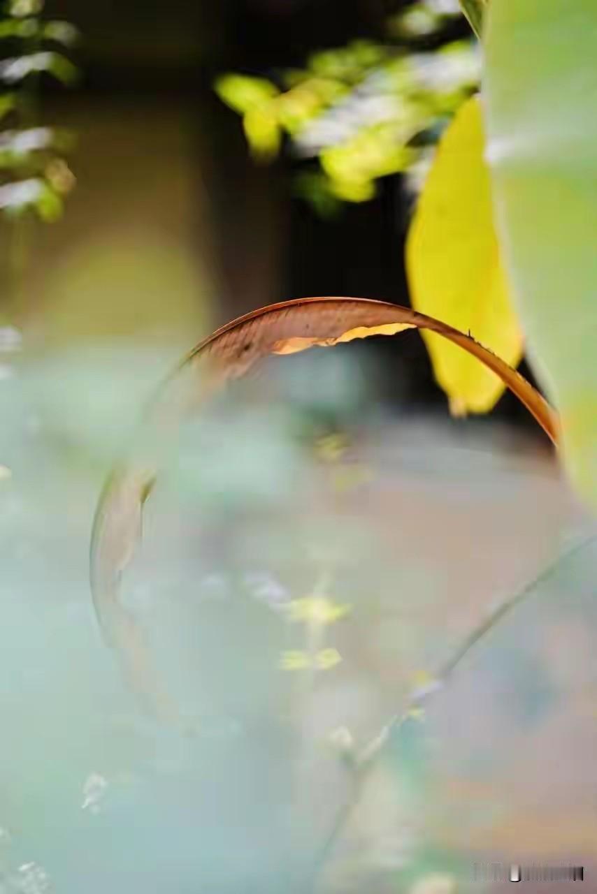 永远不要期求完美，人生就是“不断打碎”的过程

太过深情的人，一般活得比较累，迟