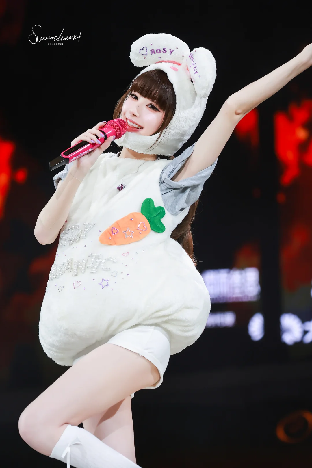 🐰🥕