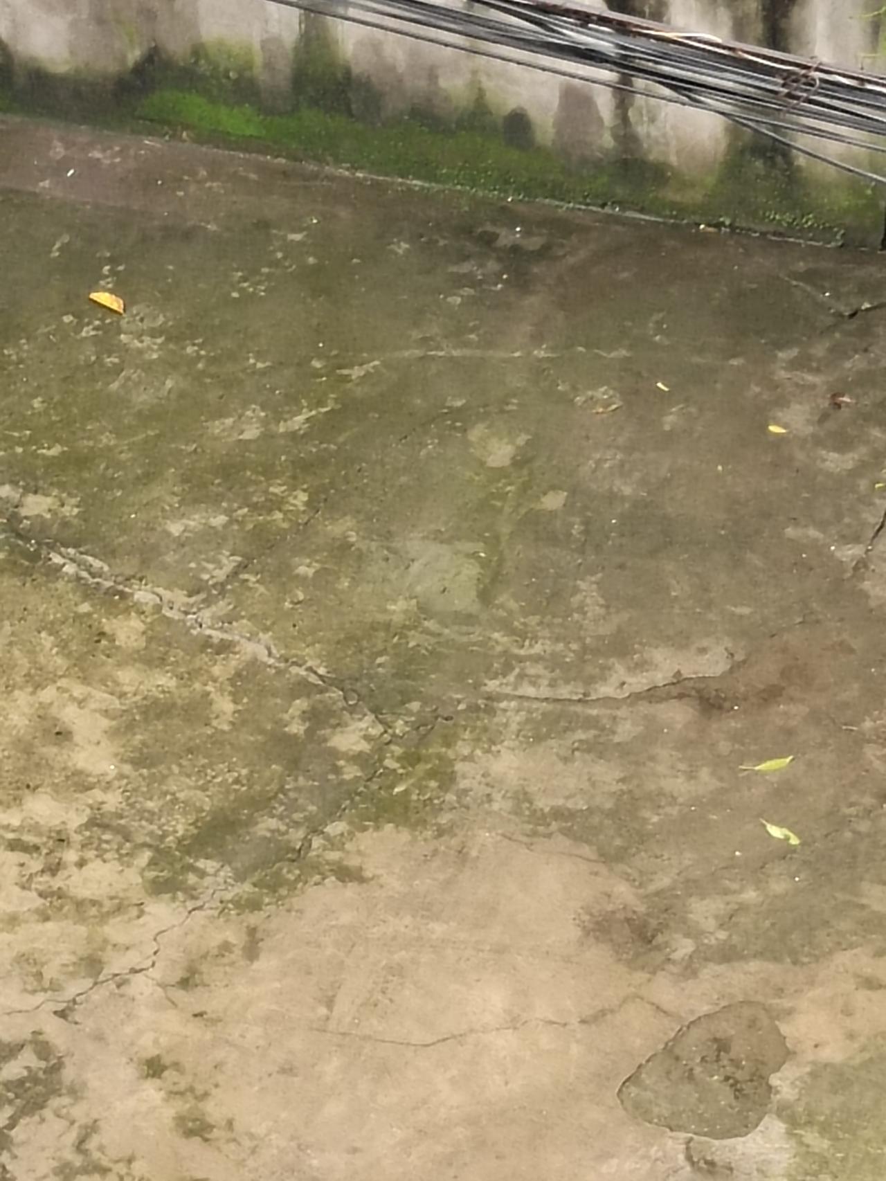 天空像灰色的茧

作者:墨琴
 
云层是湿透的棉絮
压得很低  低过屋檐的叹息