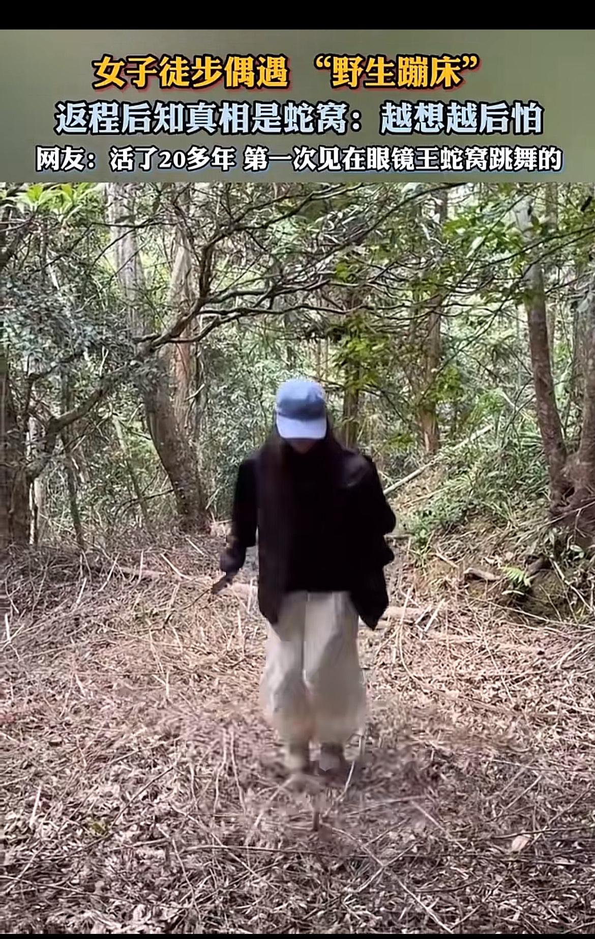 刷到江西上饶这位徒步女生的经历，我鸡皮疙瘩直接起来了。
进山徒步撞见落叶堆得厚厚