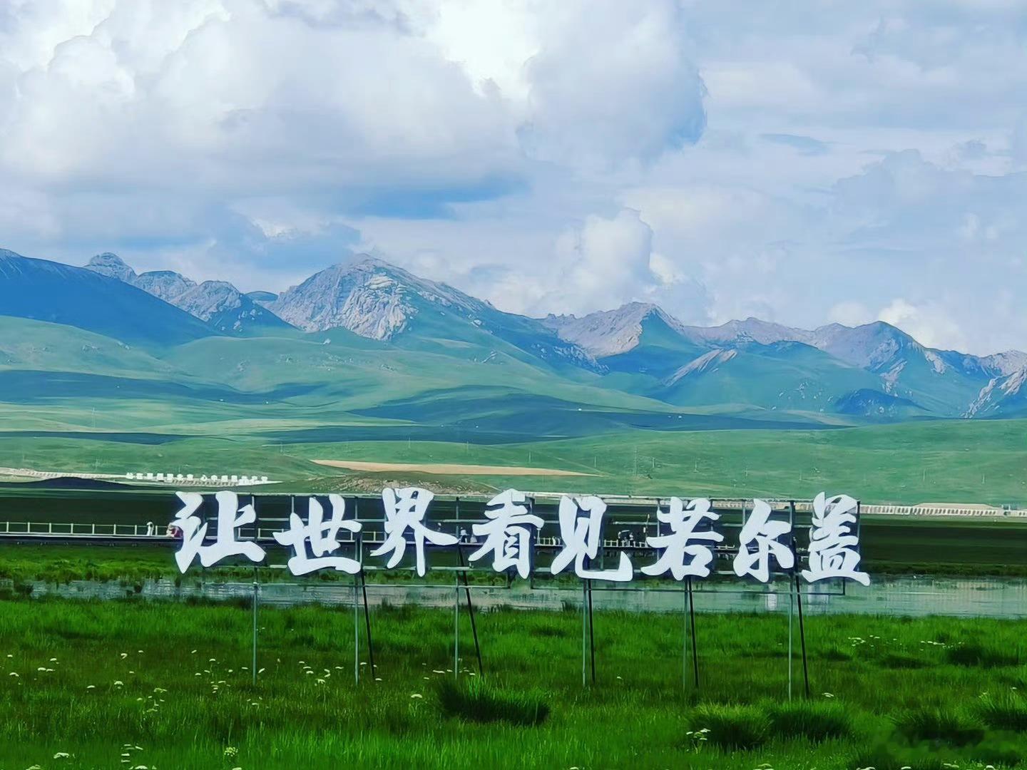 四川若尔盖花湖鸥语伴人行 红嘴鸥绕人轻鸣，碧湖绿草相映——四川阿坝若尔盖花湖，每