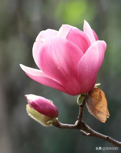 美丽的大自然总是与我们相依相伴，为我们奉上一幅幅美仑美奂的画面，令人赏心悦目，流