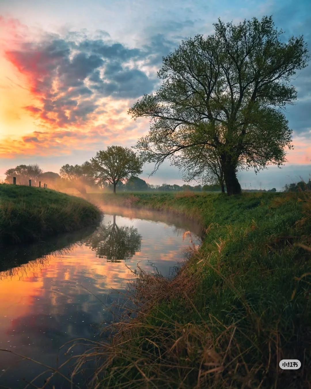 想看看你们最好看的一张壁纸