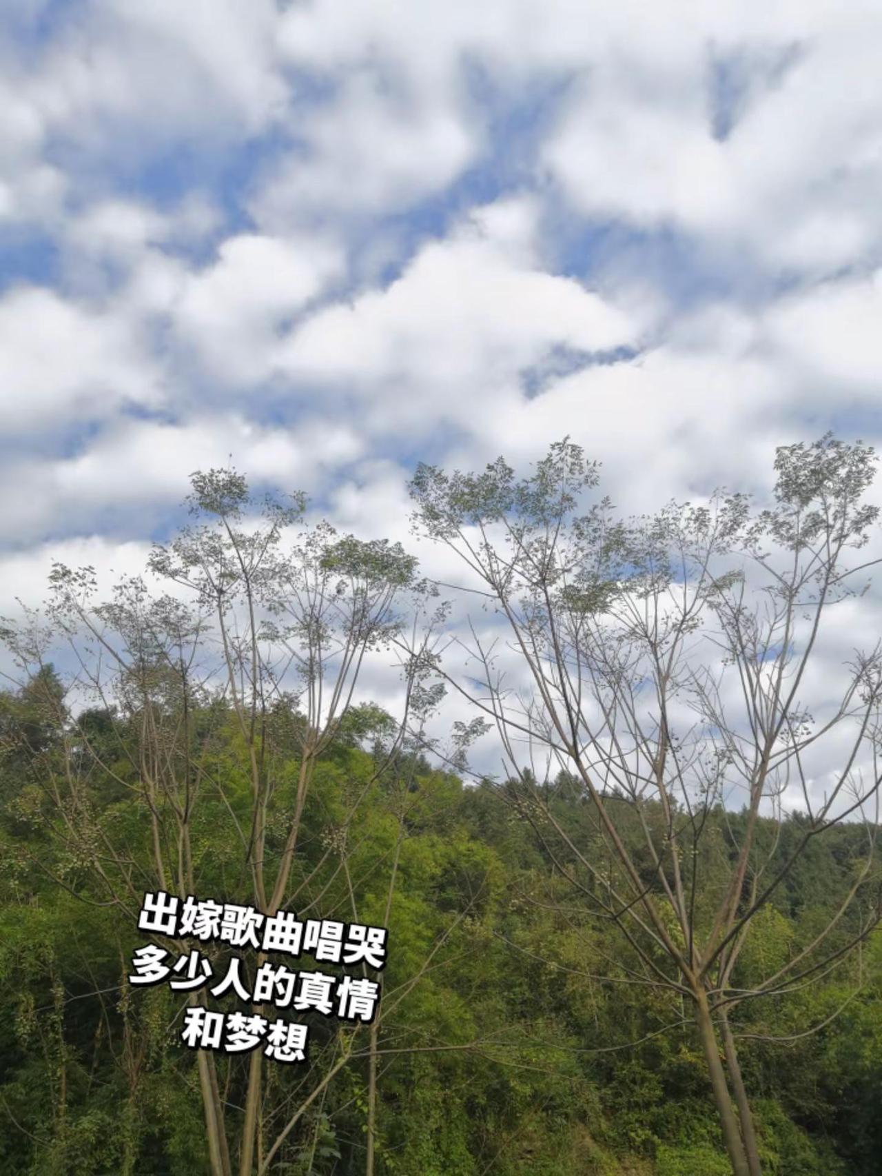 十送姑娘出嫁歌，唱出多少人的酸甜泪水，姑娘出嫁了，去往远方