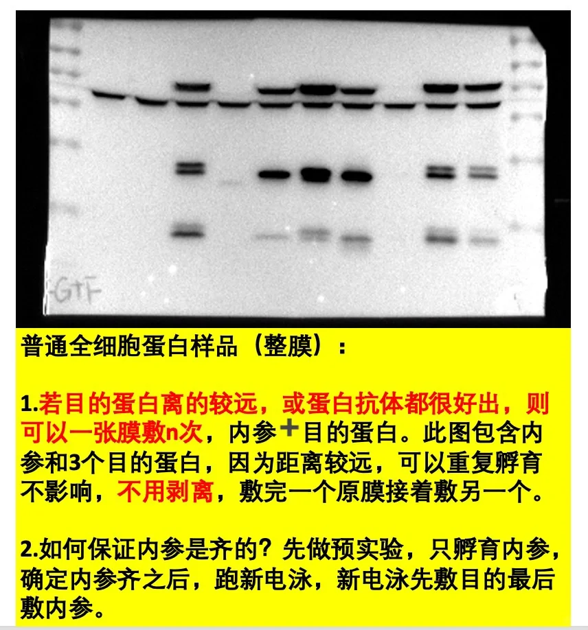 WB原始数据注意事项⚠️码住