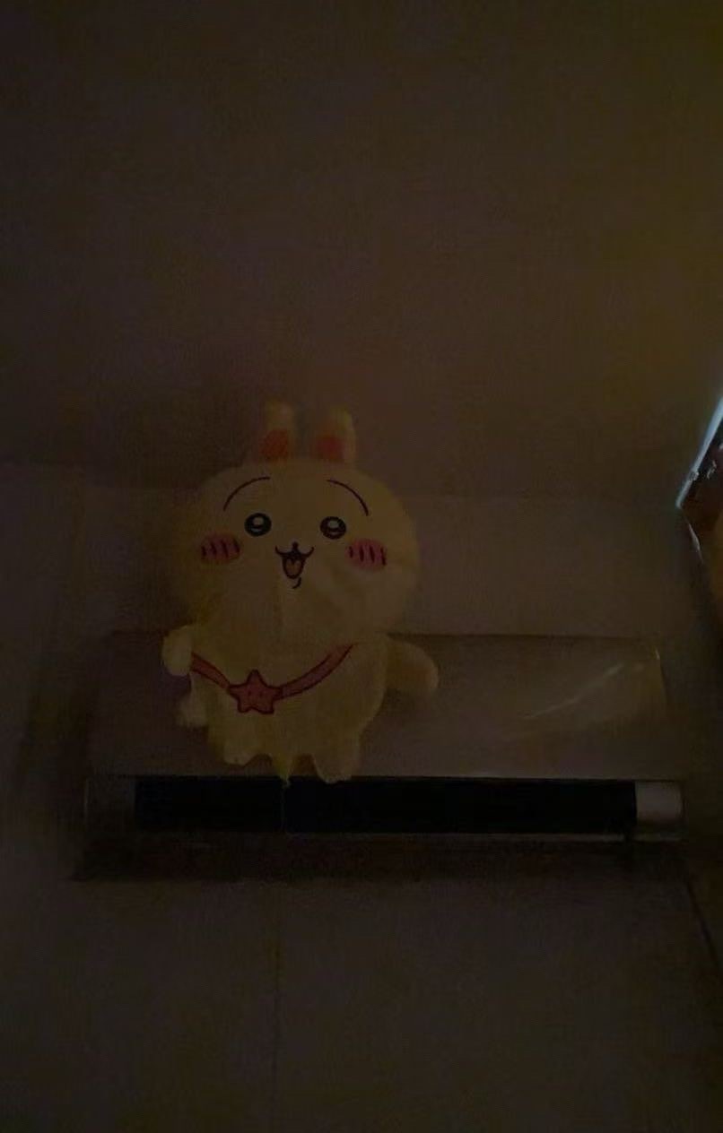 这只乌，你有点无法无天了吧！