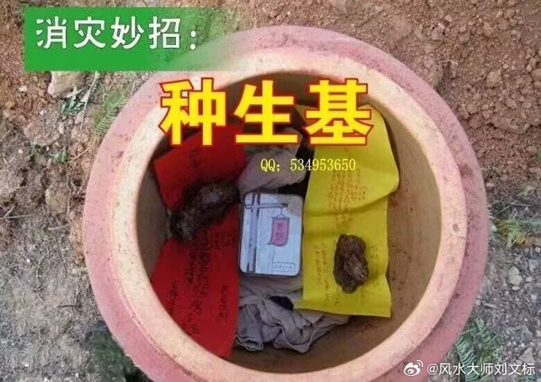 种生基的分类，和作用。（一）化病生基：适合长期患病，久治不效，各种疑难杂症，或身