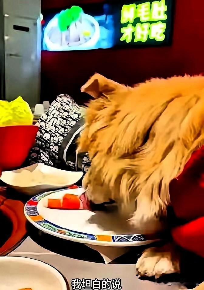 北京狗舔涮肉盘的女主，跑到昆明还敢接着作，这嚣张劲儿真是没谁了！

全网骂她没公